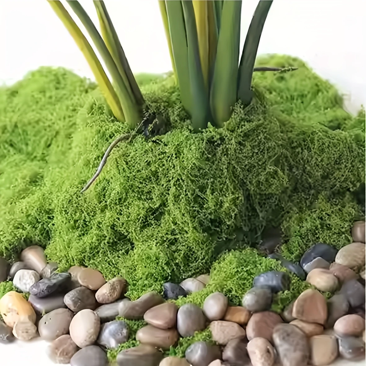 50g Fake Moss DIY Crafts Grass - Sphagnum Moss Dry recension och pris