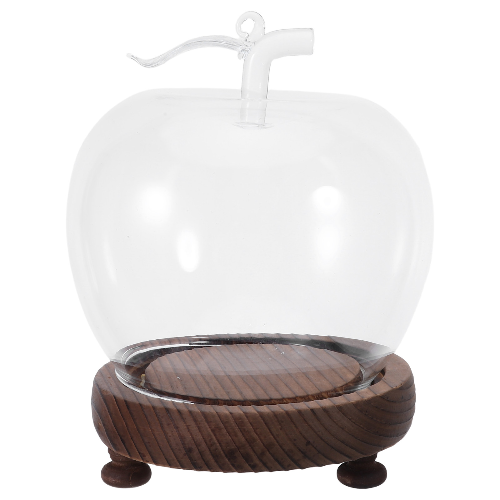 Glass Dome Cloche Clear Displa - Plastic Dome Clear recension och pris