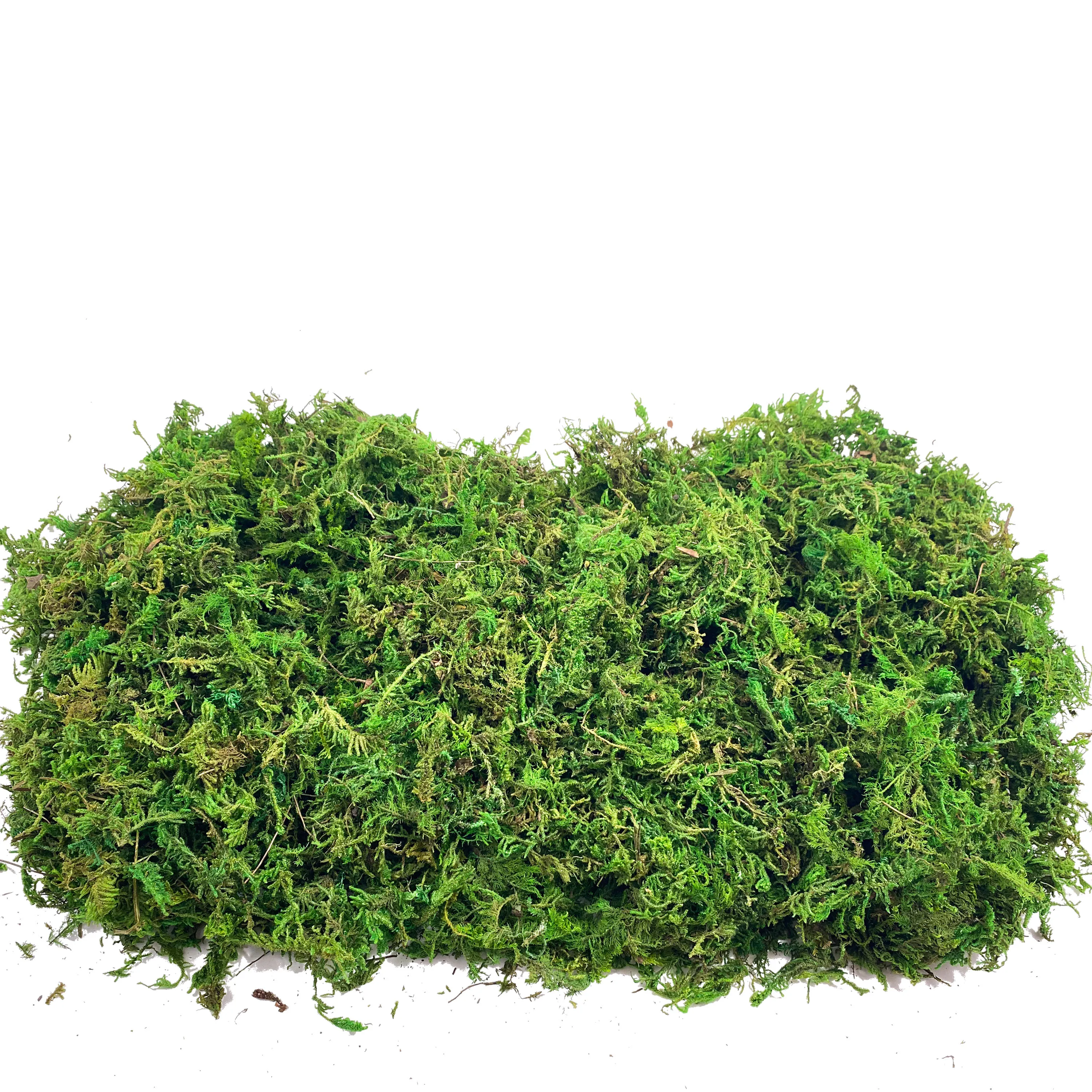 Fake Moss Artificial Moss for  - Sphagnum Moss Dry recension och pris