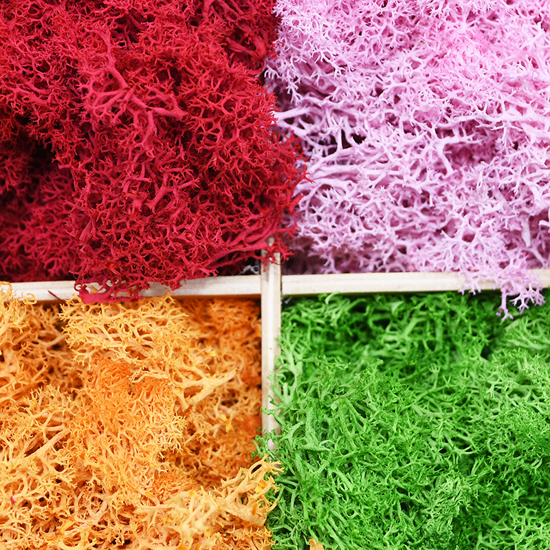 20/40g Artificial Green Plants - Sphagnum Moss Dry recension och pris