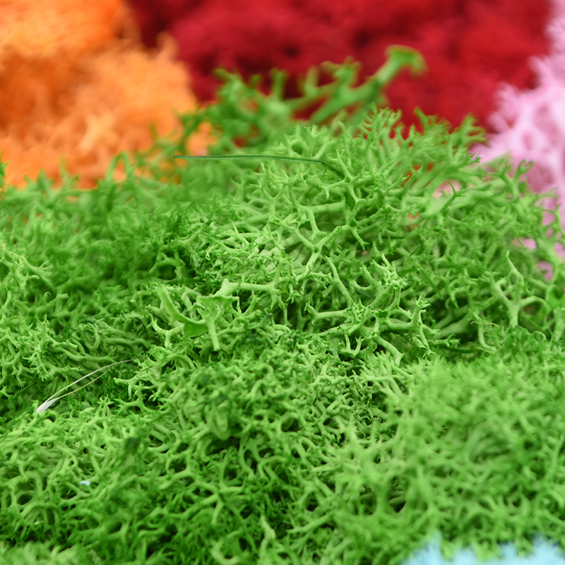 20/40g Artificial Green Plants - Sphagnum Moss Dry recension och pris