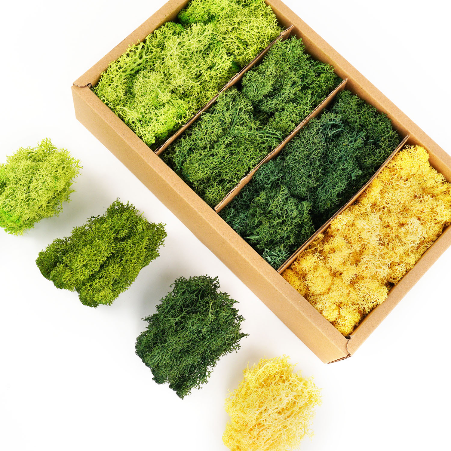 Artificial Green Plants Eterna - Sphagnum Moss Dry recension och pris
