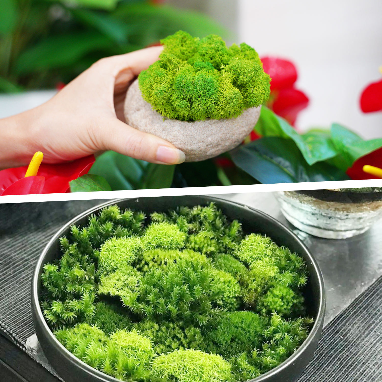 Artificial Green Plants Eterna - Sphagnum Moss Dry recension och pris