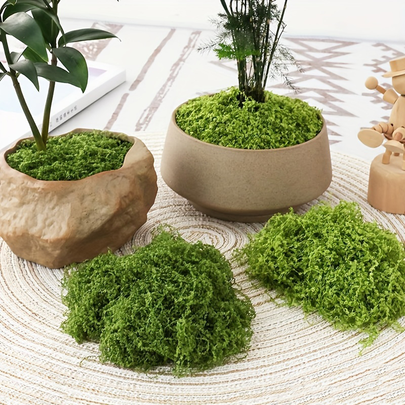 20g/0.7oz Artificial Garden Fa - Sphagnum Moss Dry recension och pris