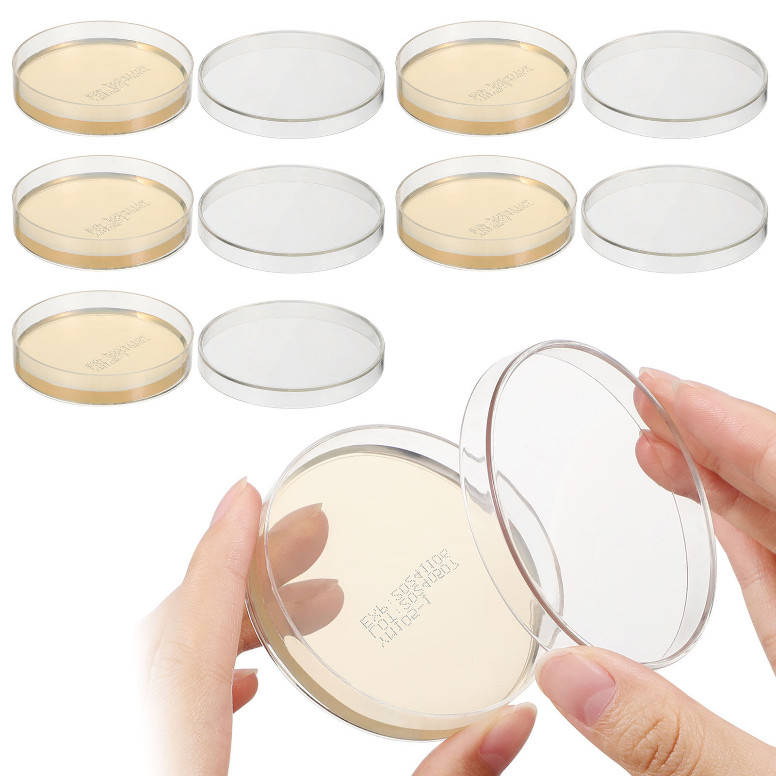 Agar Plates 10pcs Ready to Use - Agar Tissue Culture recension och pris