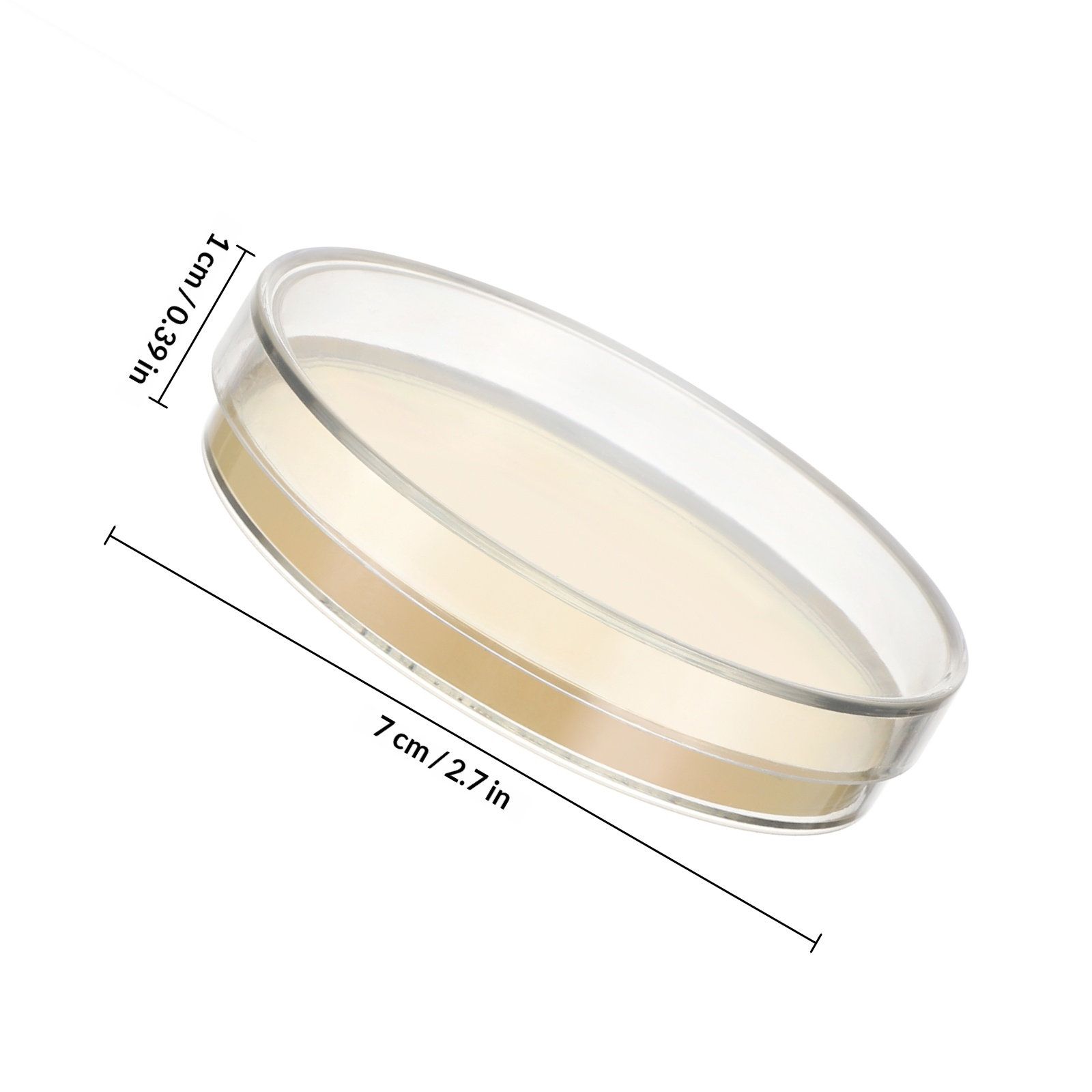 Agar Plates 10pcs Ready to Use - Agar Tissue Culture recension och pris