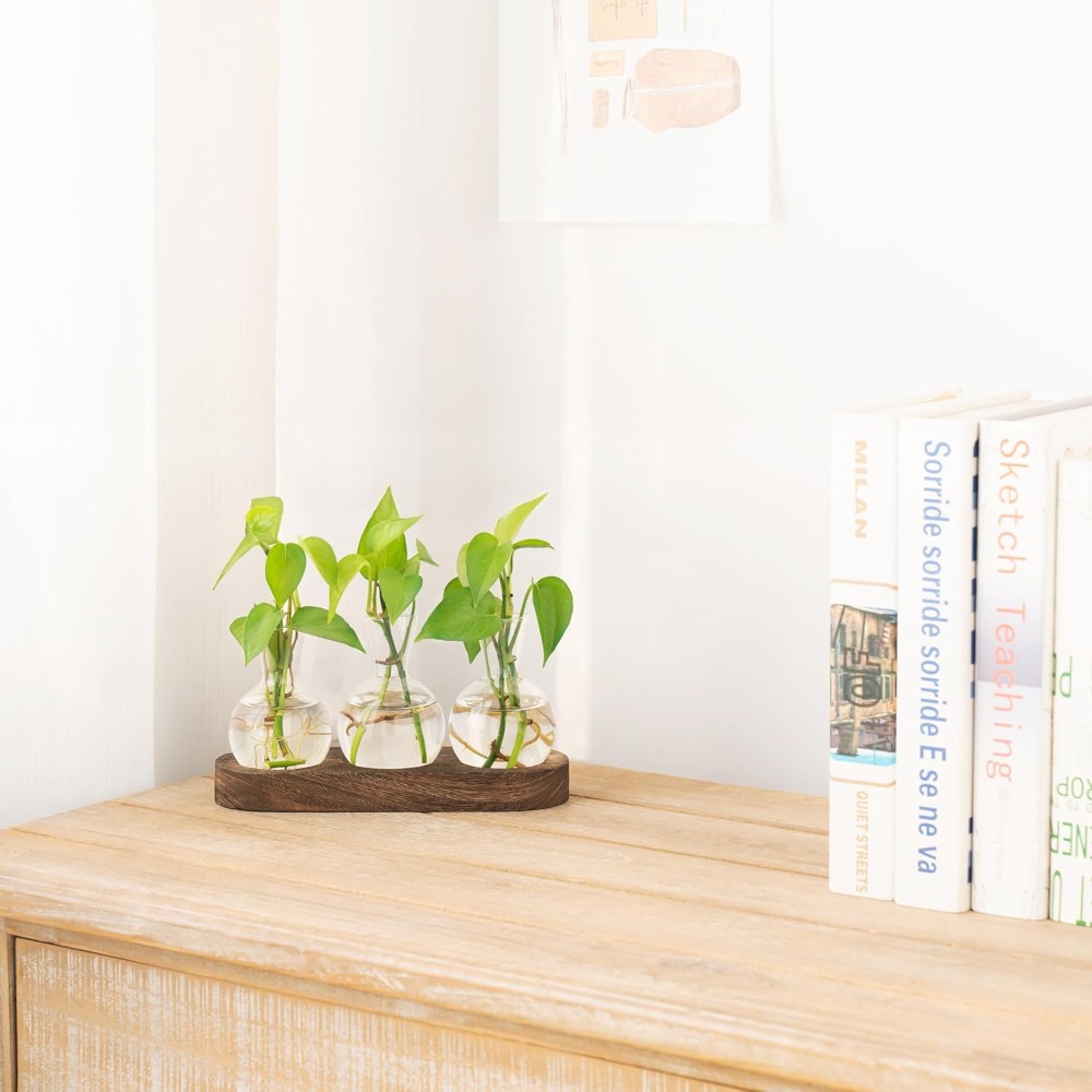 Desktop Plant Propagation Stat - Propagation Station Vase recension och pris