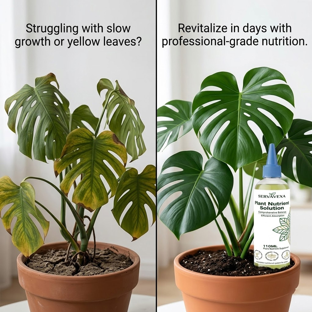 Plant  Nutrient Solution Rapid - Root Stimulator Liquid recension och pris