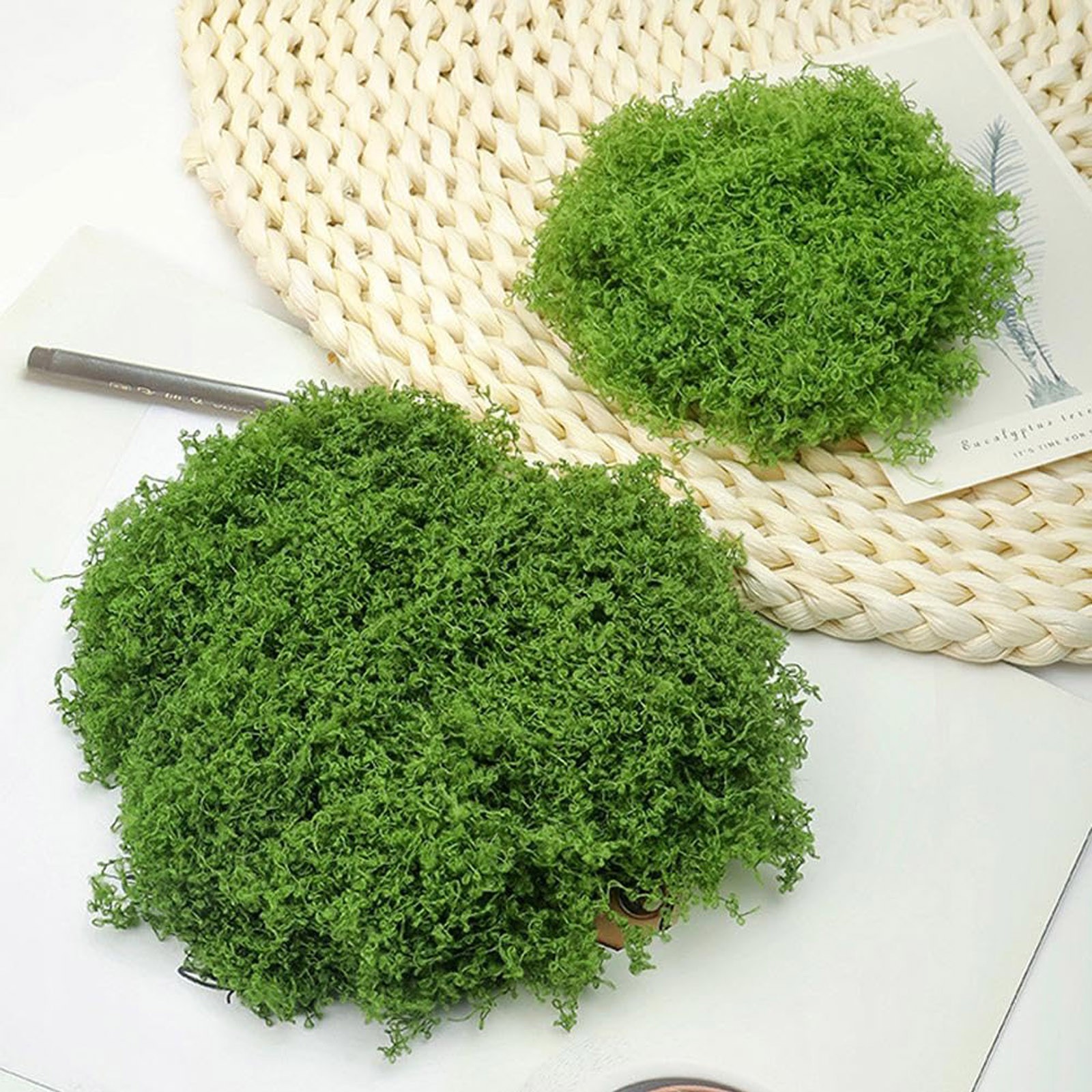 50/200g Artificial Moss For De - Sphagnum Moss Dry recension och pris