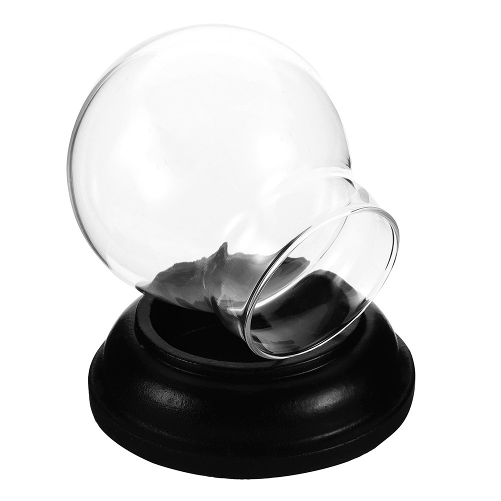 Empty Fillable Glass Snow Glob - Plastic Dome Clear recension och pris