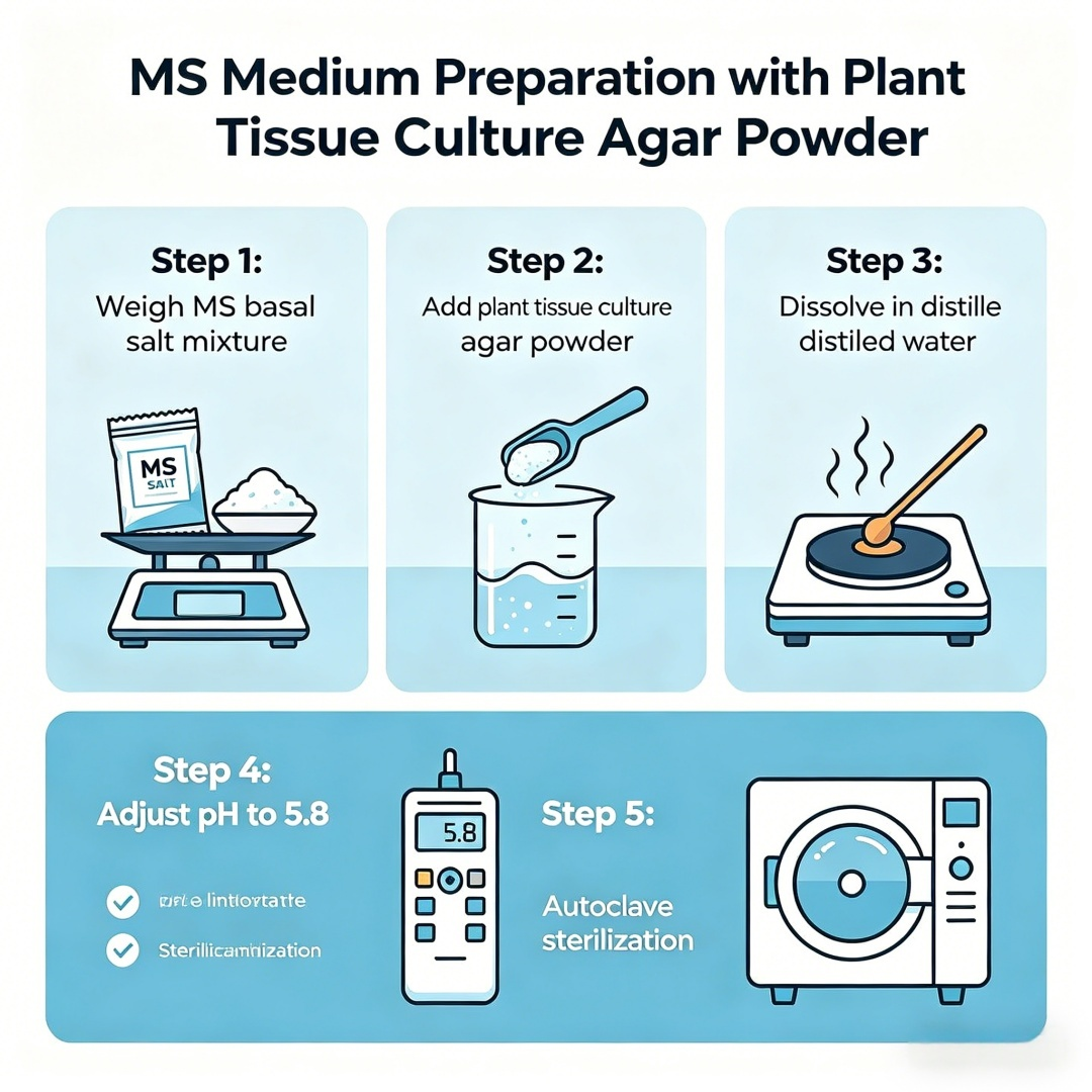 High Gel Strength Plant Tissue - Agar Tissue Culture recension och pris