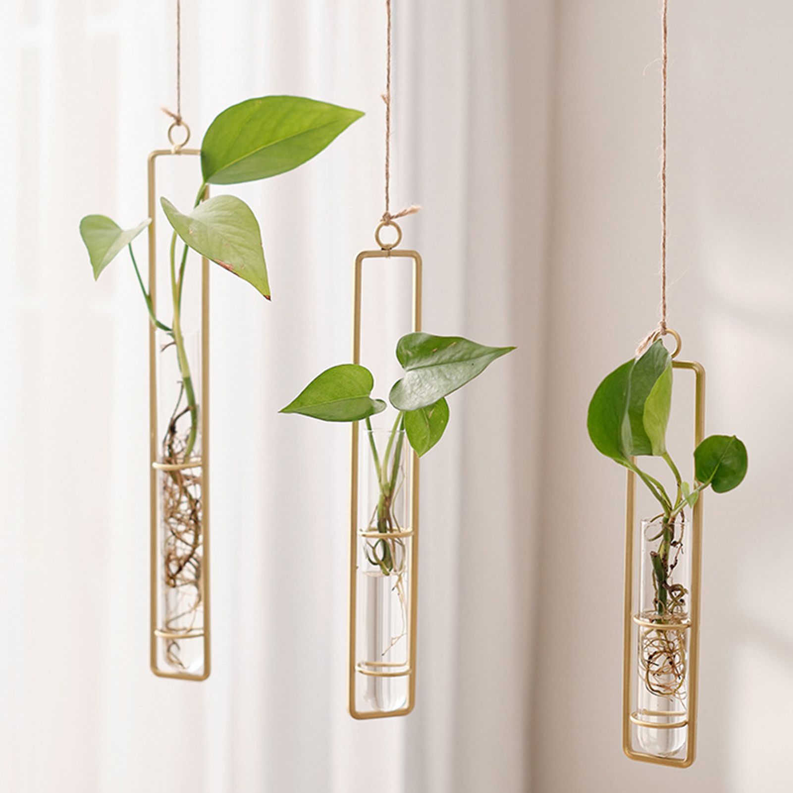 Wall Hanging Glass Vase Europe - Propagation Station Vase recension och pris
