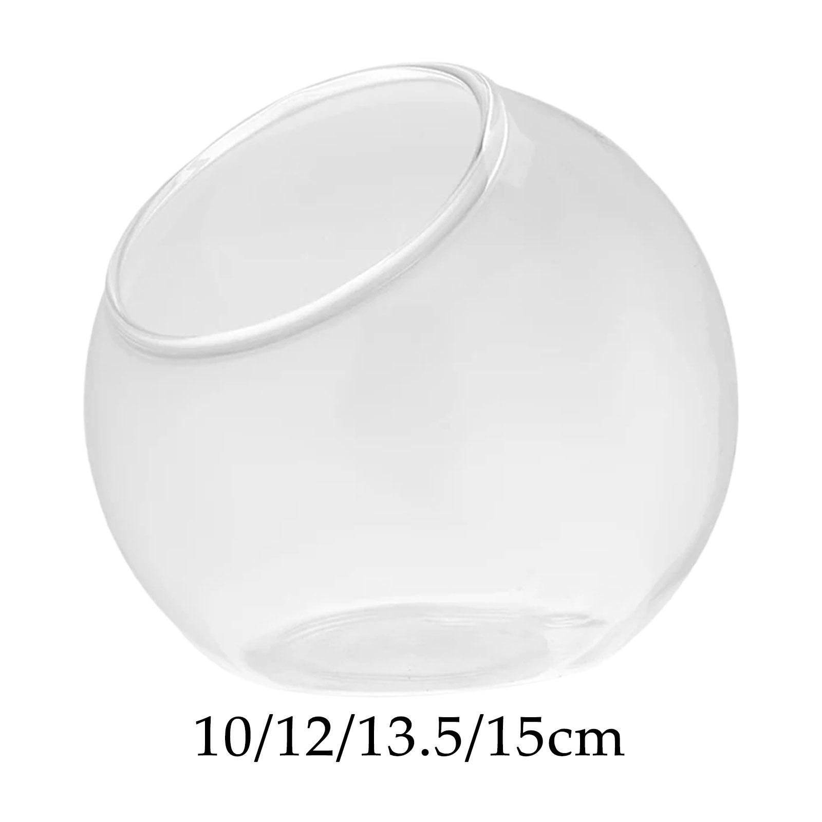 Terrarium Glass Vase Unique Ce - Propagation Station Vase recension och pris
