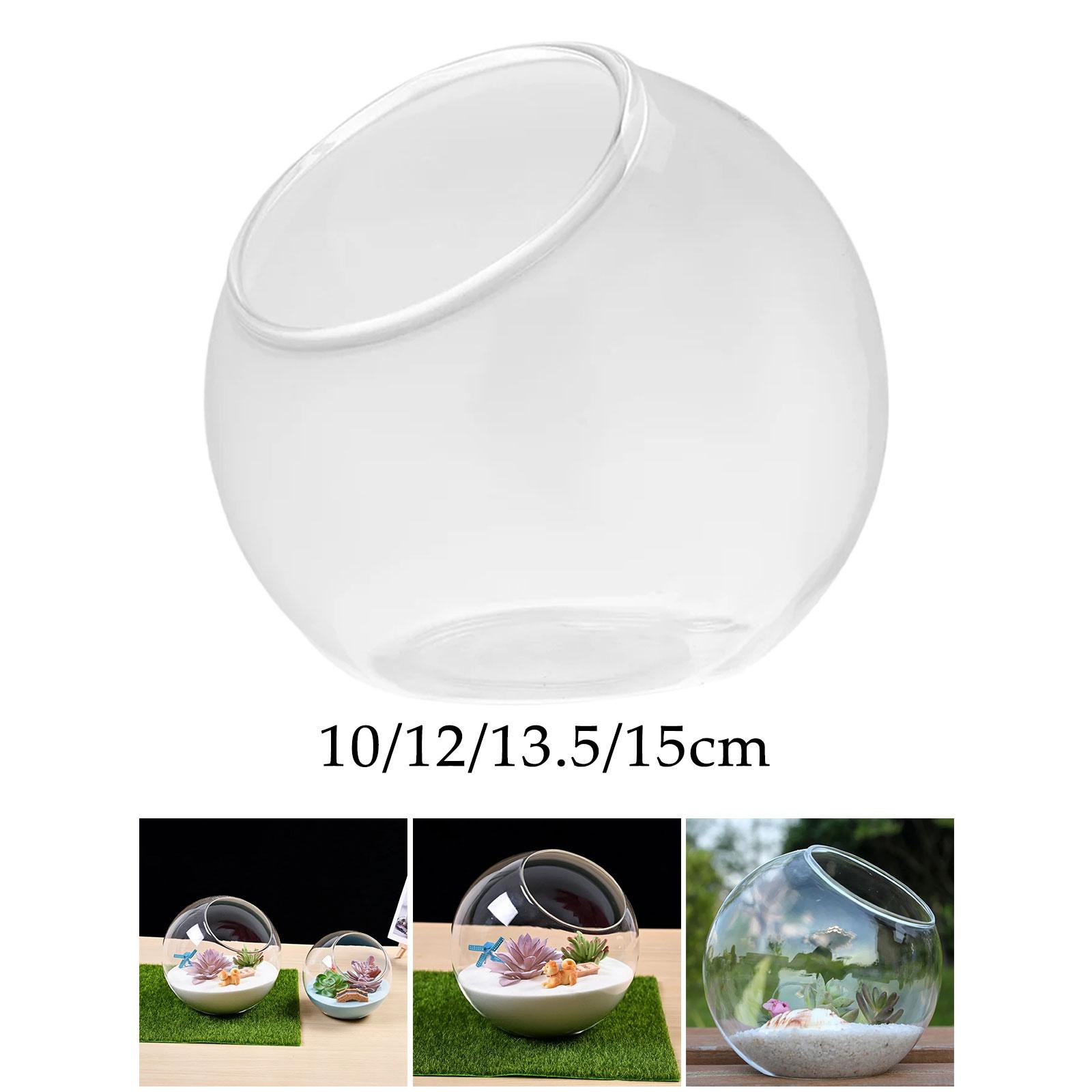 Terrarium Glass Vase Unique Ce - Propagation Station Vase recension och pris