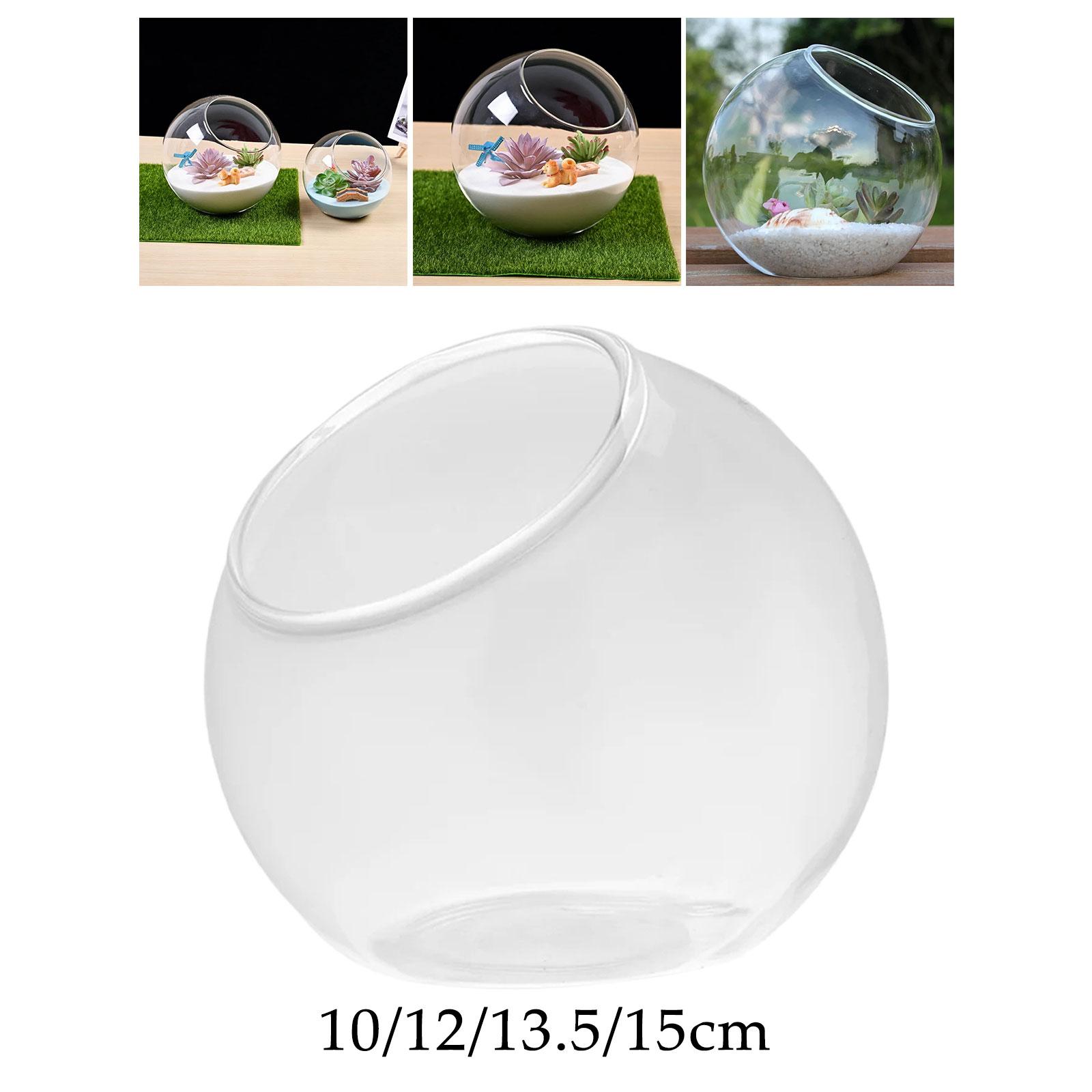 Terrarium Glass Vase Unique Ce - Propagation Station Vase recension och pris