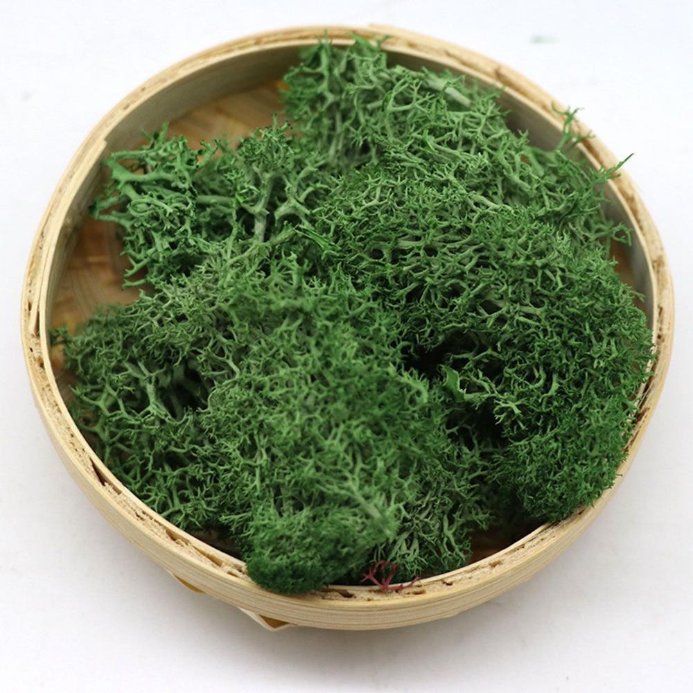Wedding Accessories Wedding Fl - Sphagnum Moss Dry recension och pris