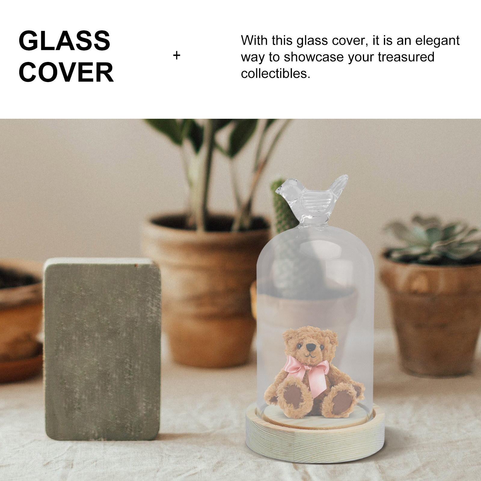 1Pcs Mini Glass Dome Cover Bir - Plastic Dome Clear recension och pris