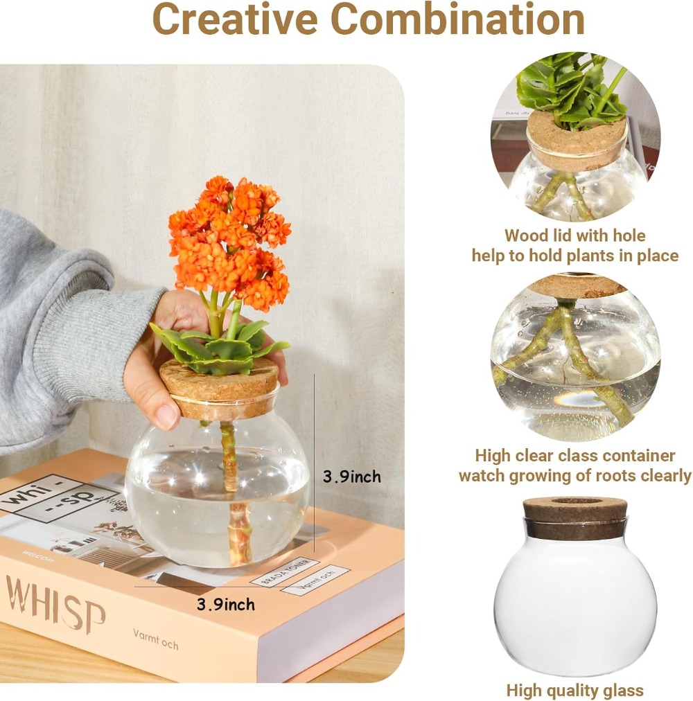 Hydroponic Plant Propagation S - Propagation Station Vase recension och pris