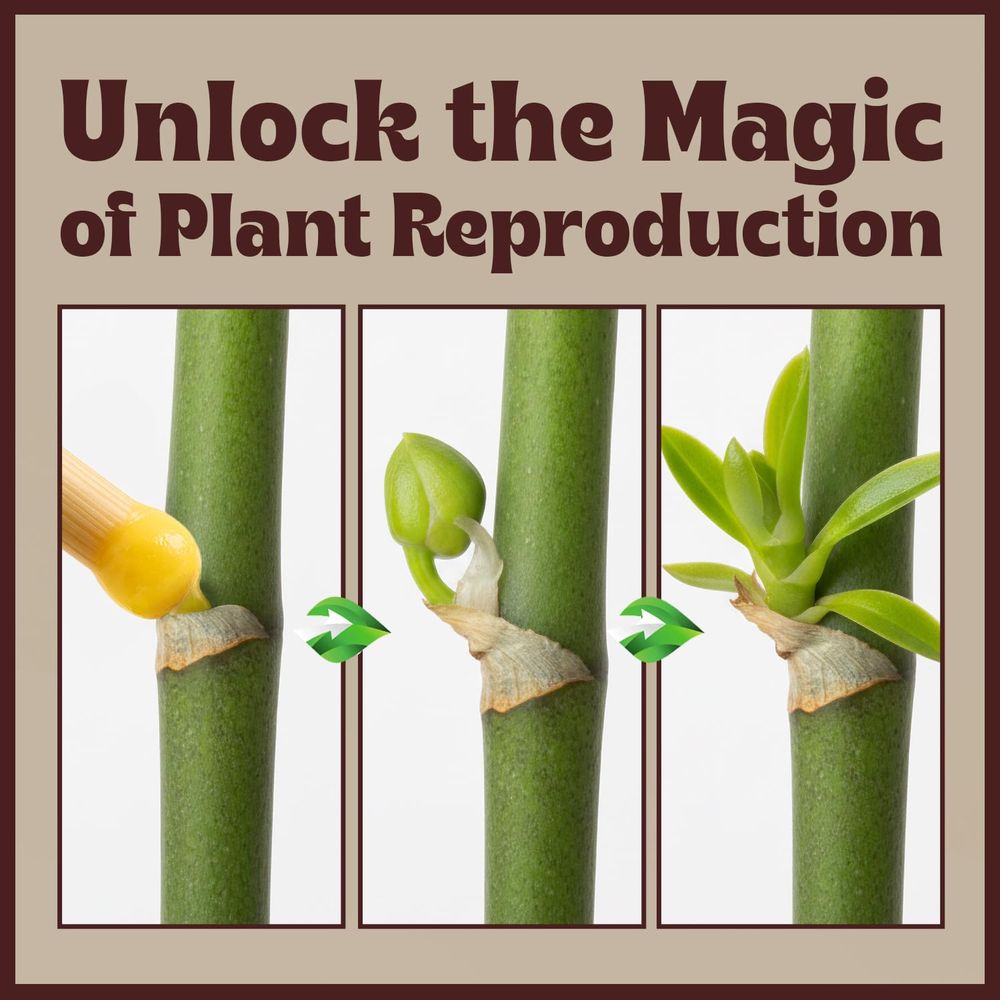 Paste or Plants to Clone & Cre - Rooting Gel Clone recension och pris