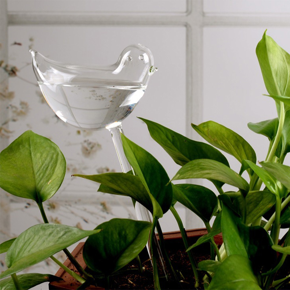 Automatic Plant Watering Bulbs - Self Watering Insert recension och pris