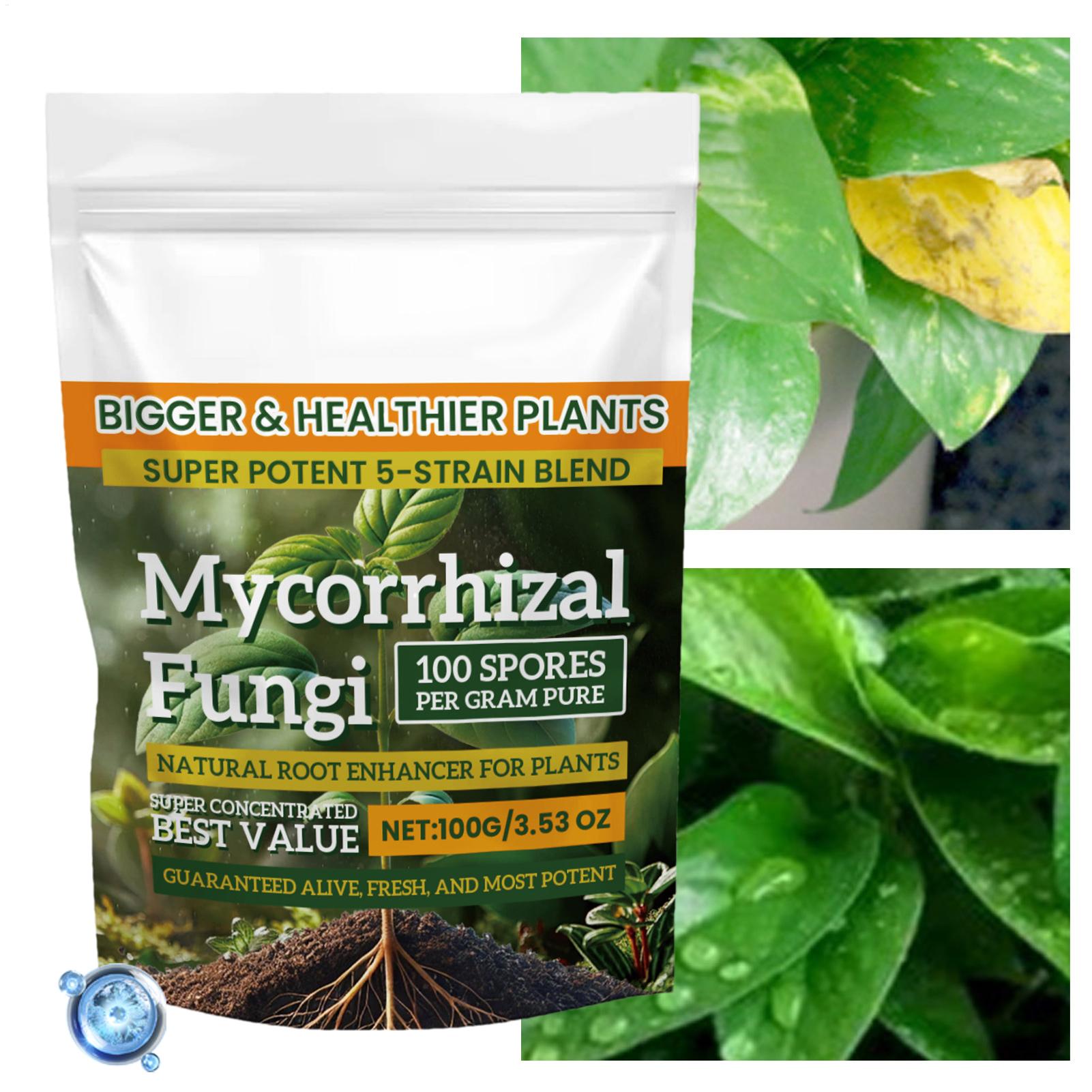 Plant Growth Enhancer Powder 1 - Rooting Hormone Powder recension och pris