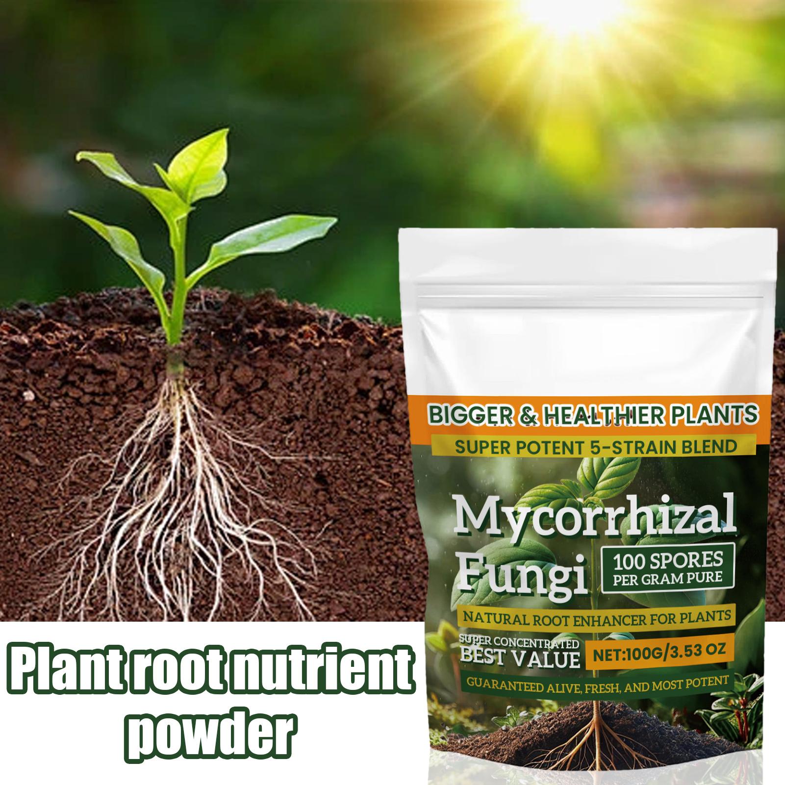Plant Growth Enhancer Powder 1 - Rooting Hormone Powder recension och pris