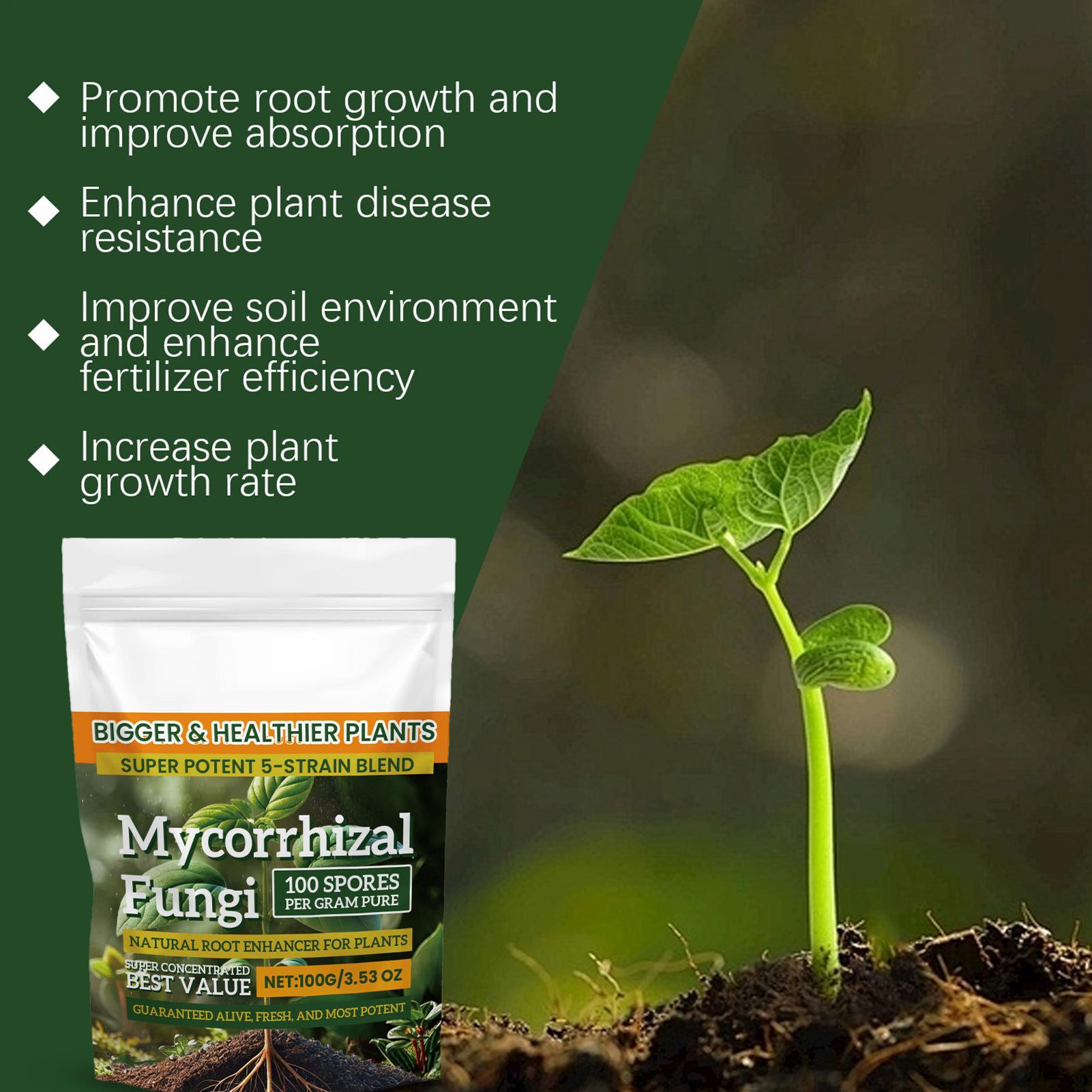 Plant Growth Enhancer Powder 1 - Rooting Hormone Powder recension och pris