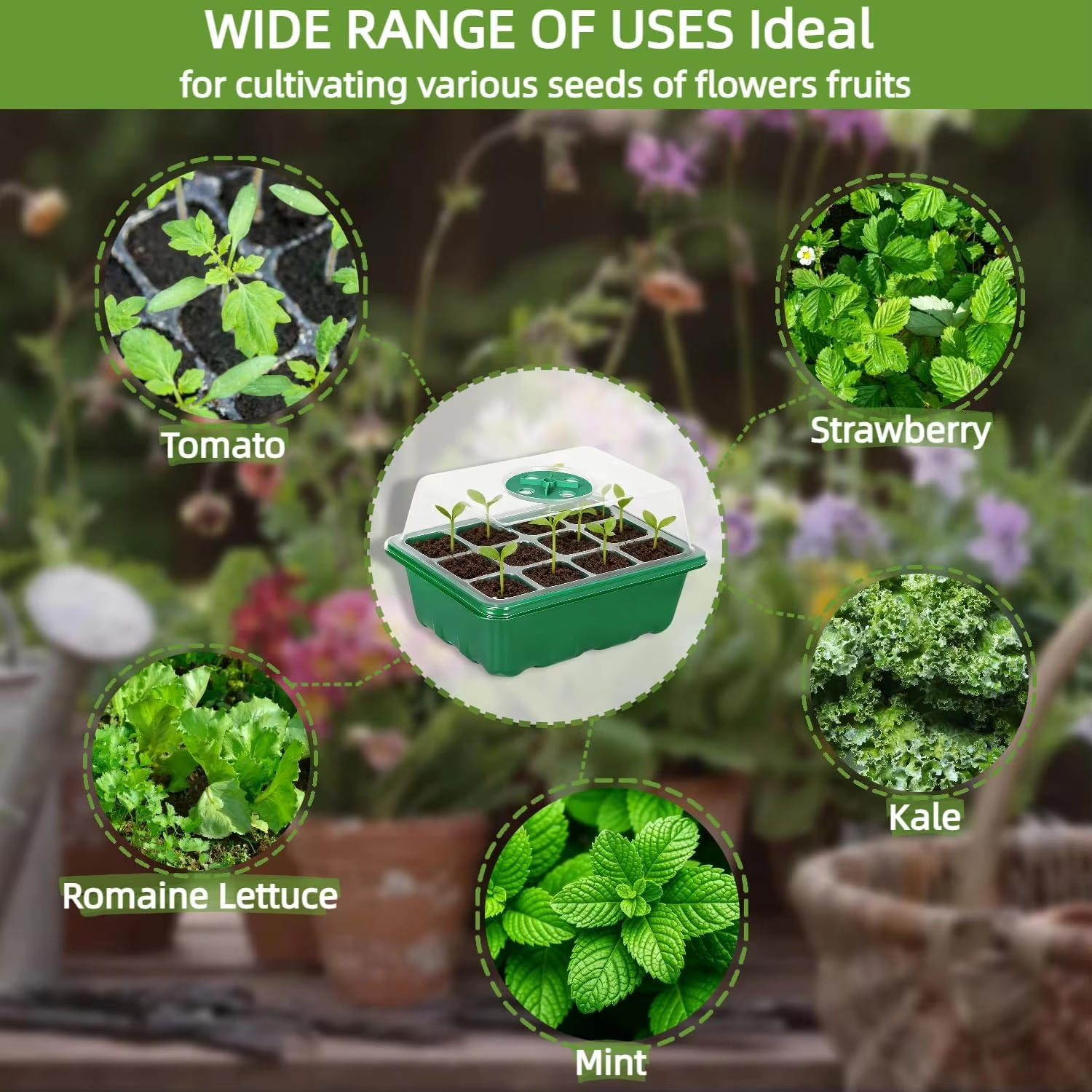 3Pcs Seed Starter Tray Mini Gr - Humidity Dome Kit recension och pris