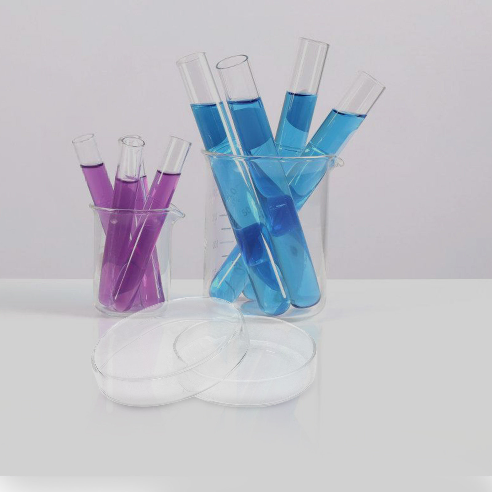 Glass Petri Dish High Borosili - Agar Tissue Culture recension och pris