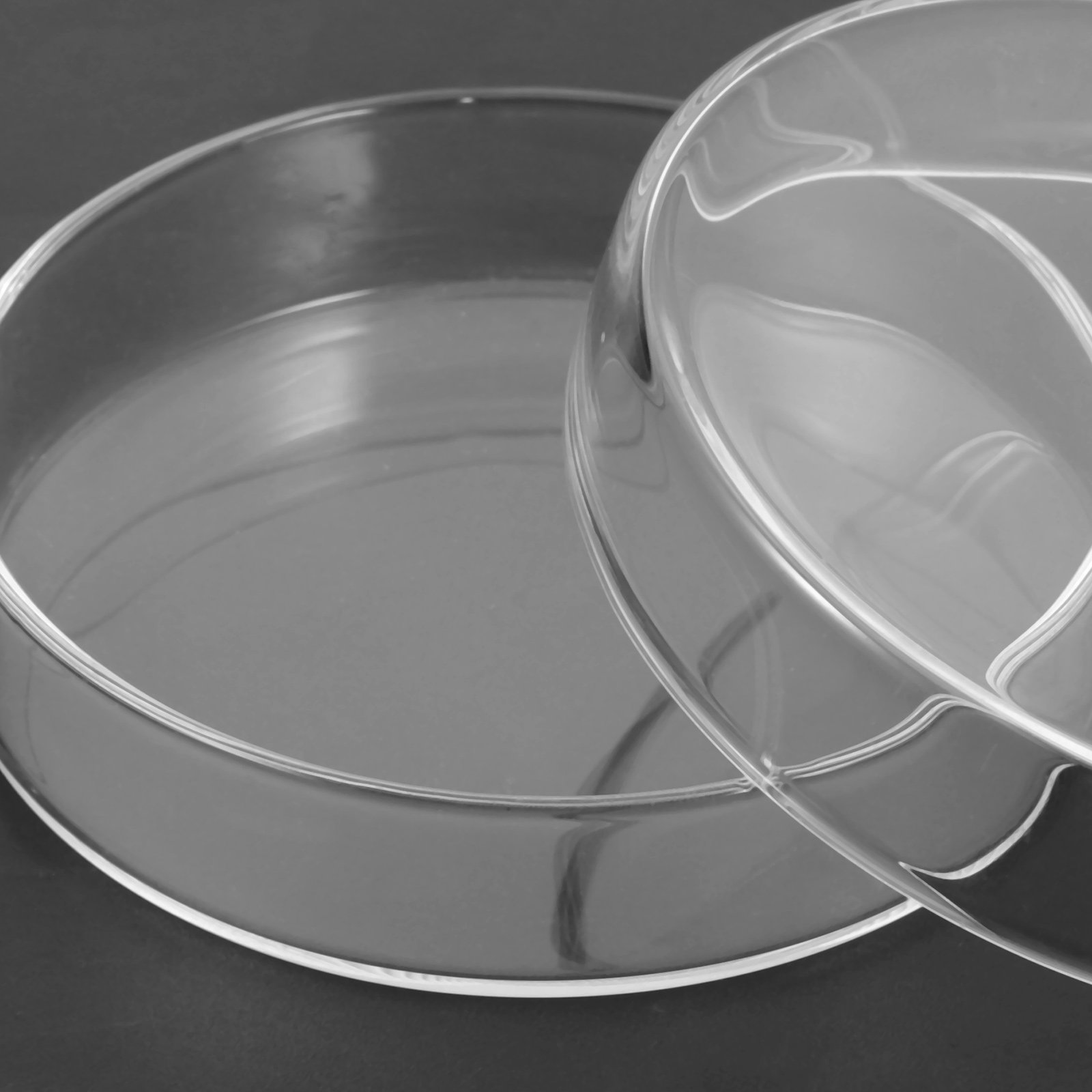 Glass Petri Dish High Borosili - Agar Tissue Culture recension och pris