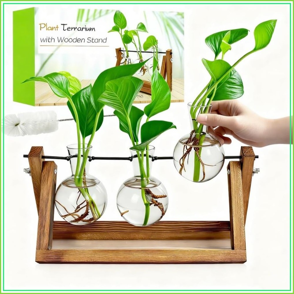 Plant Propagation Station with - Propagation Station Vase recension och pris