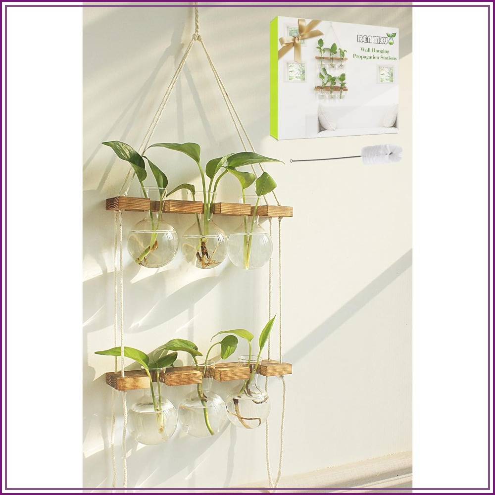 Wall Hanging Plant Propagation - Propagation Station Vase recension och pris