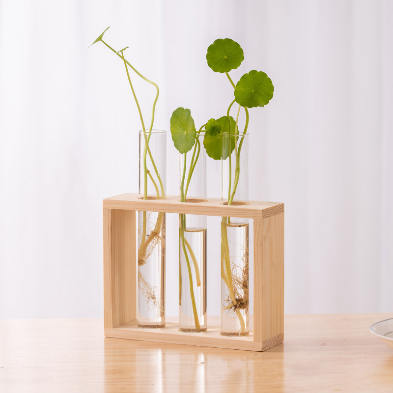Hydroponic Plants Container wi - Propagation Station Vase recension och pris