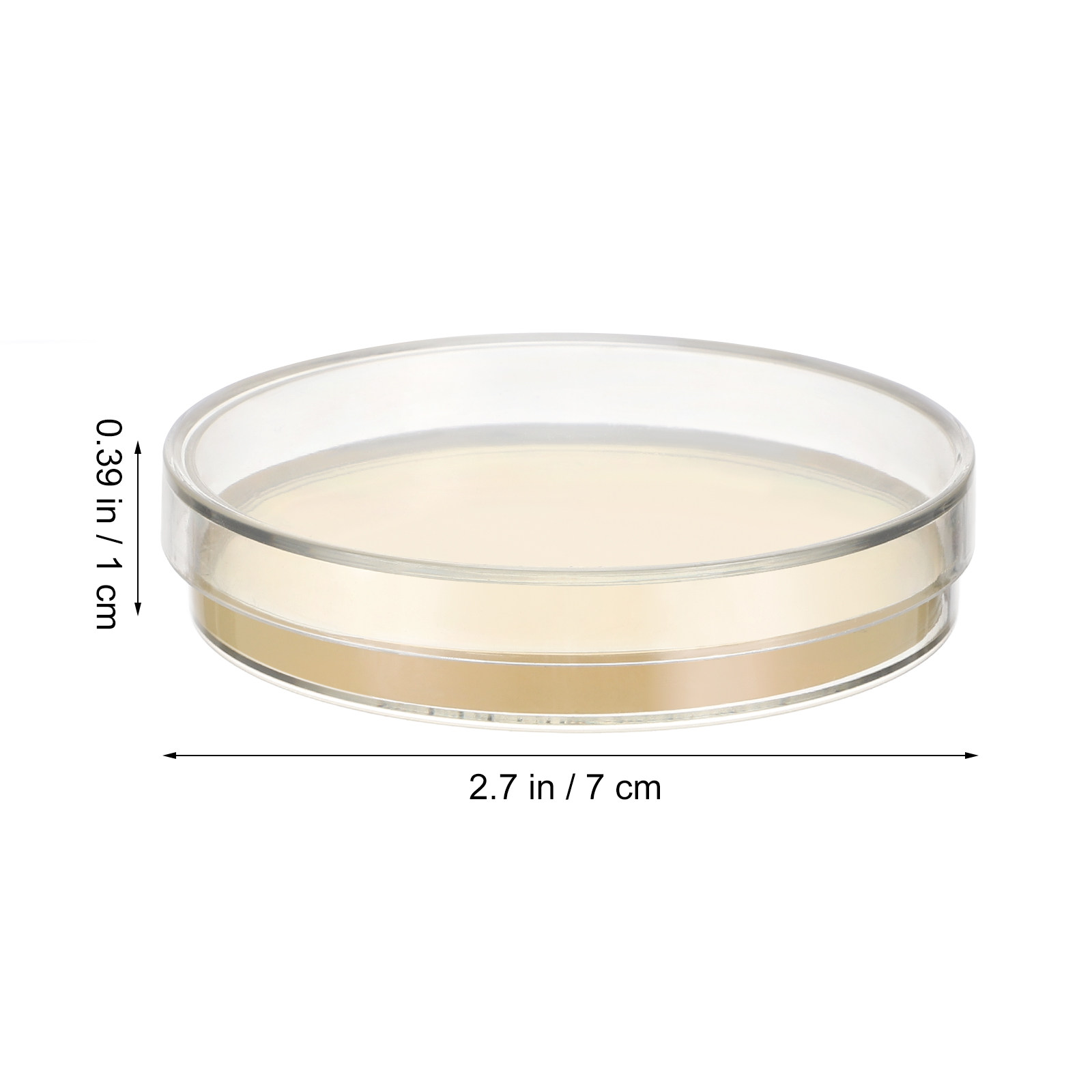 10pcs Pre-filled Agar Plates P - Agar Tissue Culture recension och pris