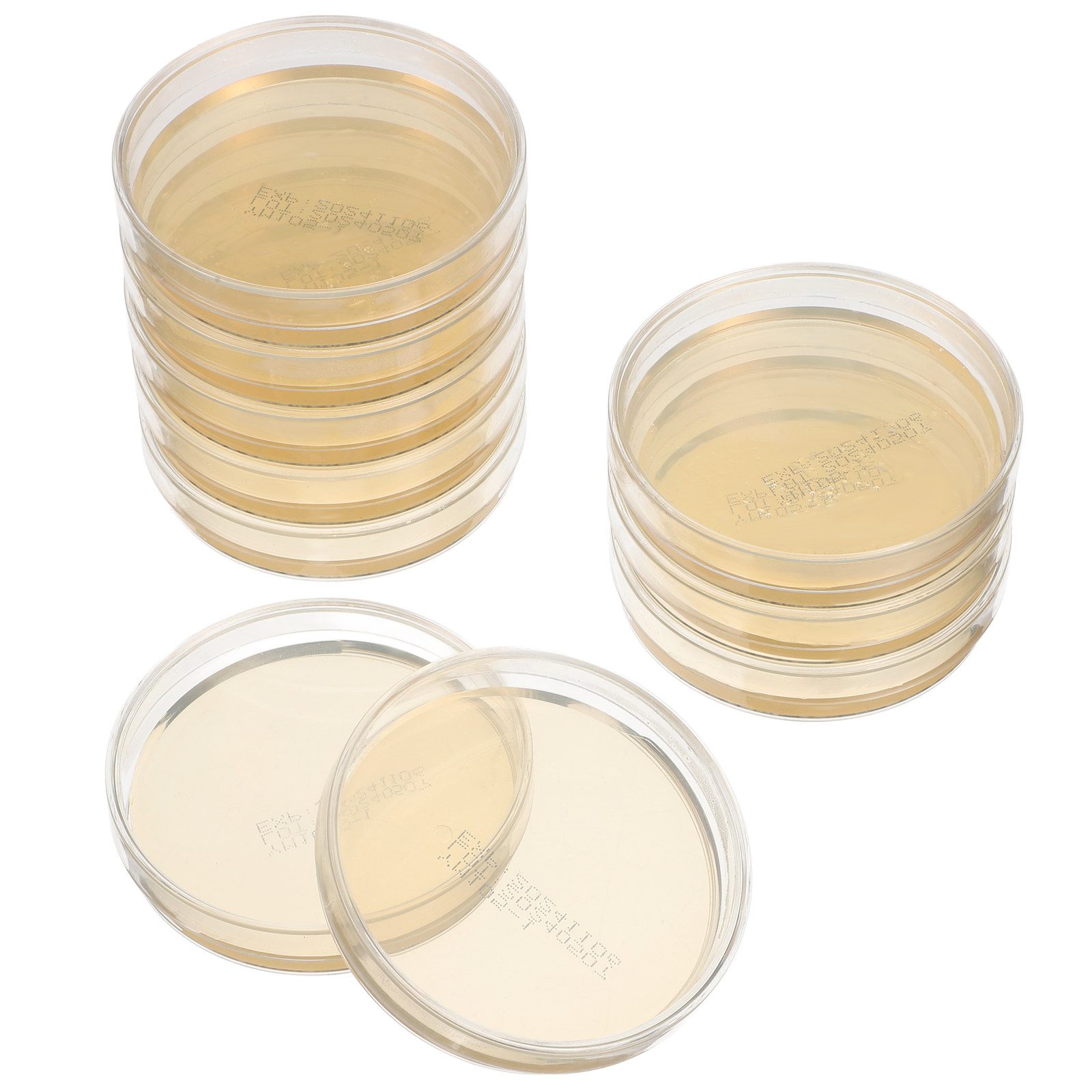 10pcs Pre-filled Agar Plates P - Agar Tissue Culture recension och pris