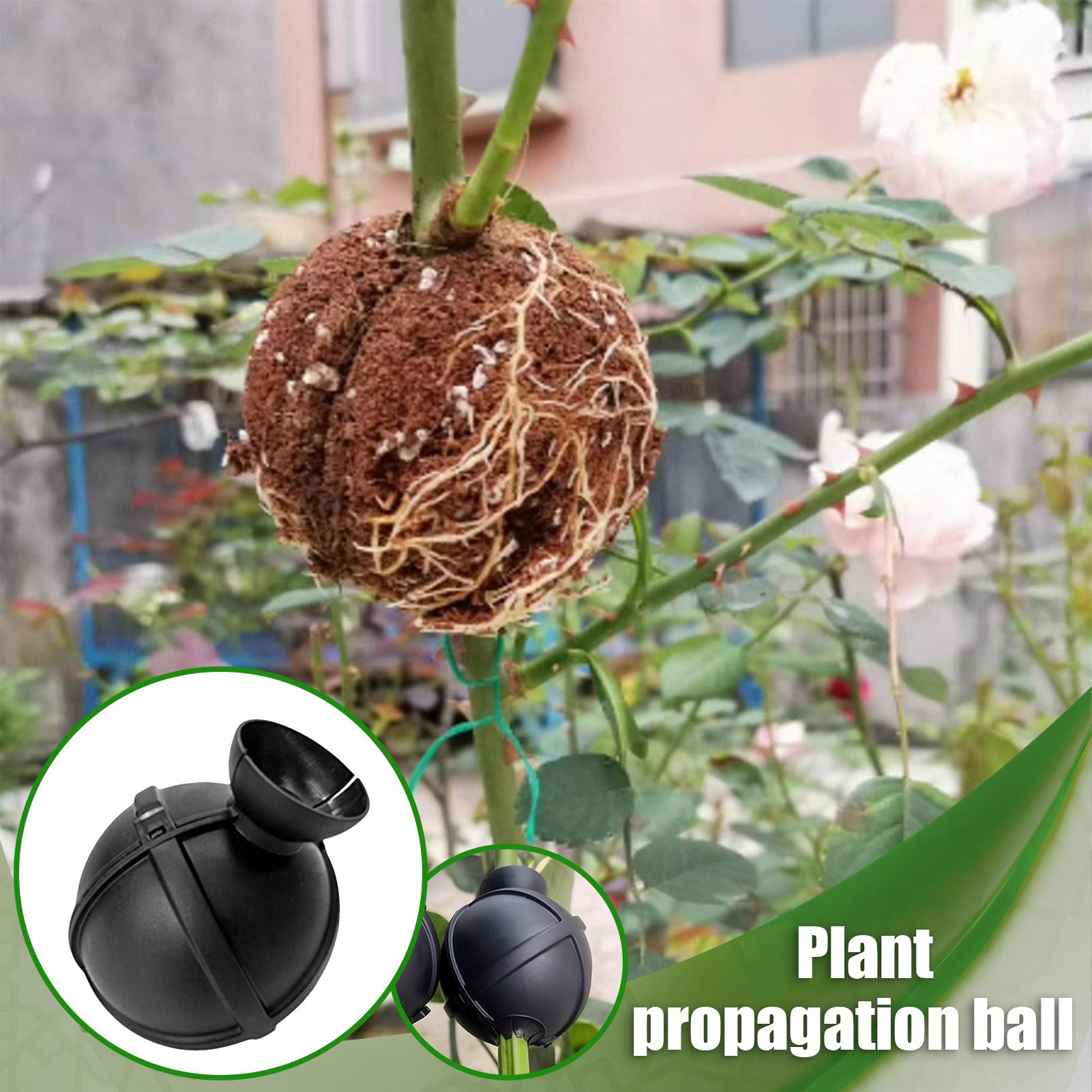 Garden Orchard Plants Grafting - Rooting Gel Clone recension och pris