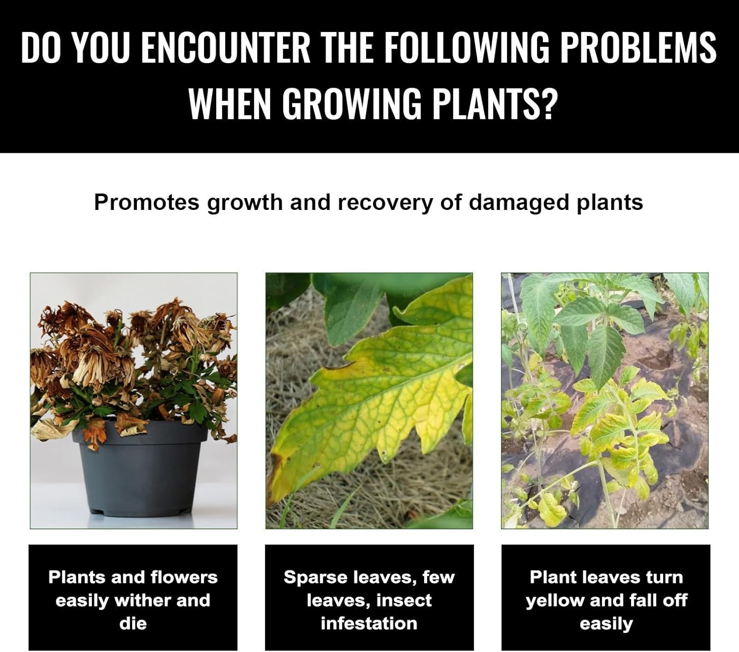 Liquid Plant Growth Enhancers  - Root Stimulator Liquid recension och pris